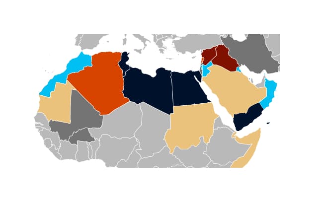 الربيع العربي والإصلاح الدستوري