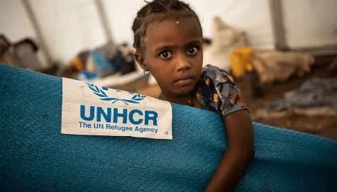 Image du Projet UNHCR 1