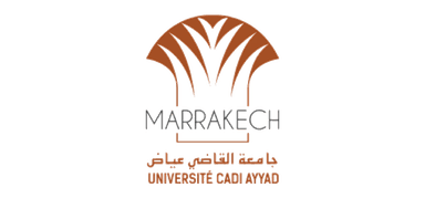Cadi Ayyad University Logo