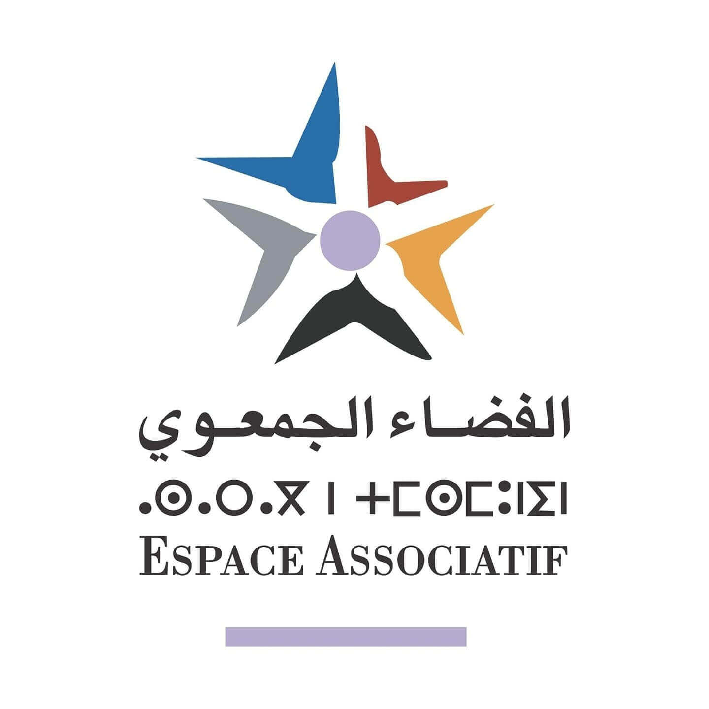 لمنظمة العربية لحقوق الإنسان.